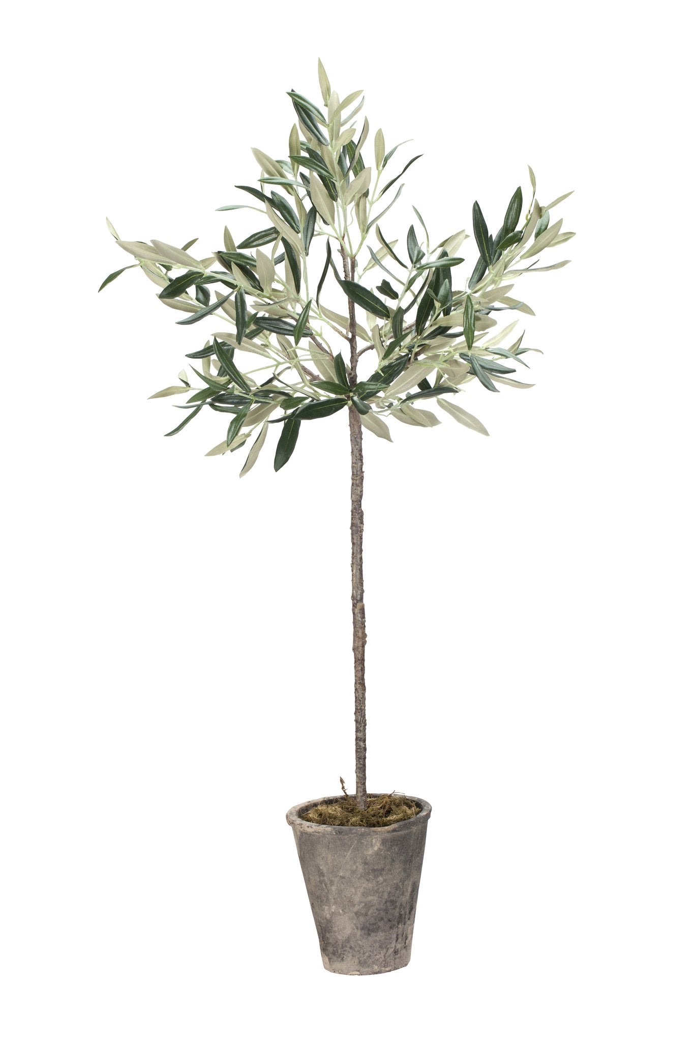 FloraVale Flora  0x13.0x73.0 cm. Green artificial