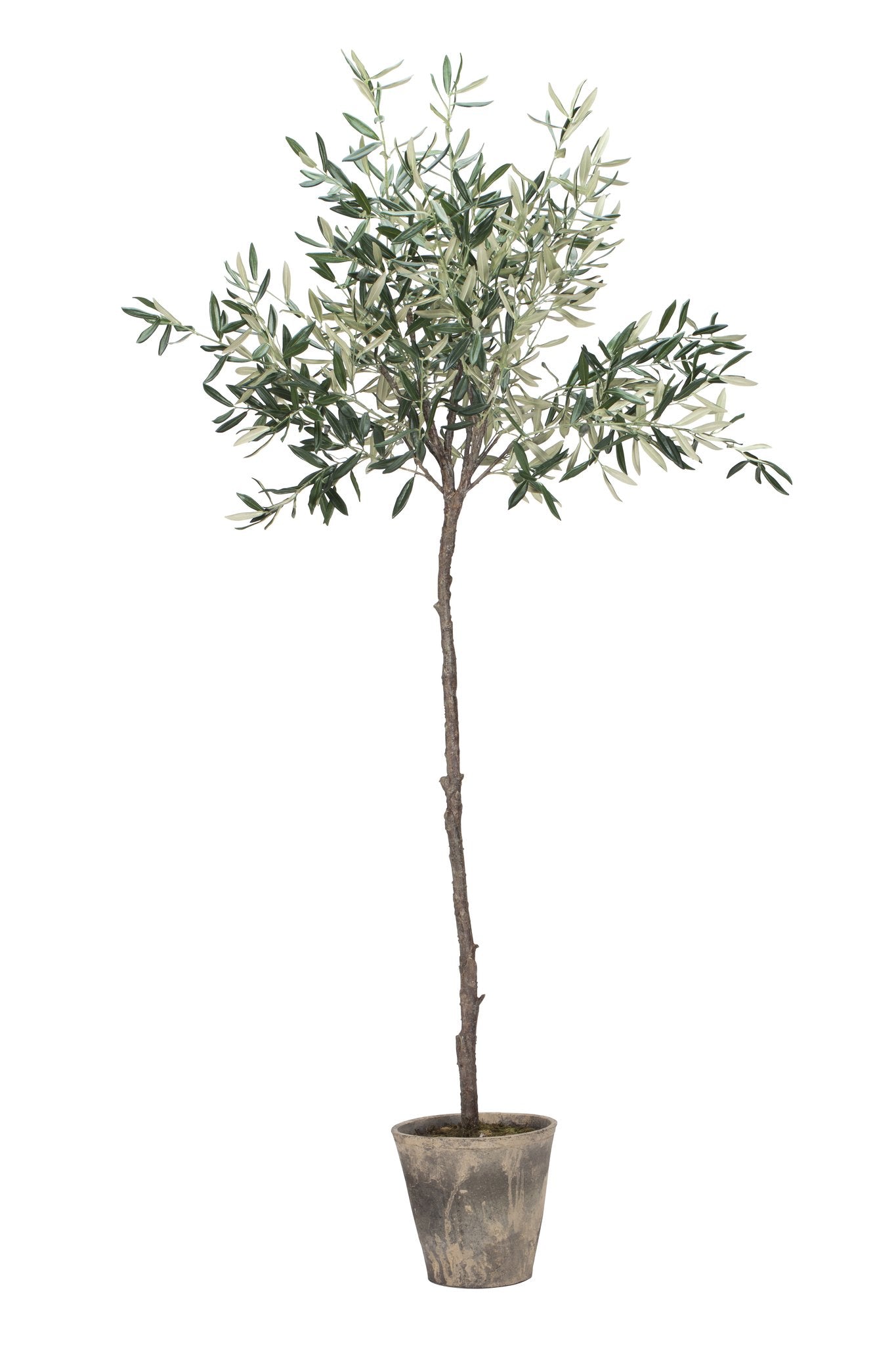 FloraVale Flora  0x24.0x160.0 cm. Green artificial